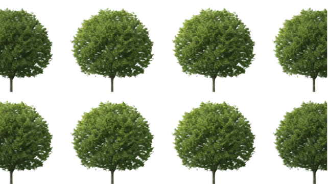 Seamless row of lush green trees for environmental backgrounds