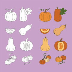 Colorful Pumpkin Vector Illustration for Autumn, Thanksgiving, and Halloween Design. Perfect Fall Harvest Element with Orange Pumpkins and Leaves for Seasonal Decoration and Celebration.