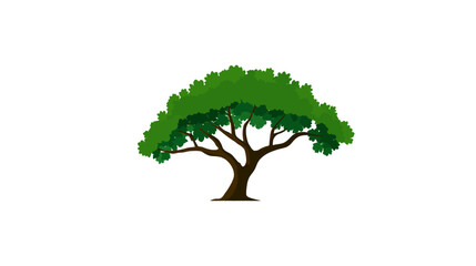 Obraz premium Cartoon tree with green canopy and brown trunk on a white background