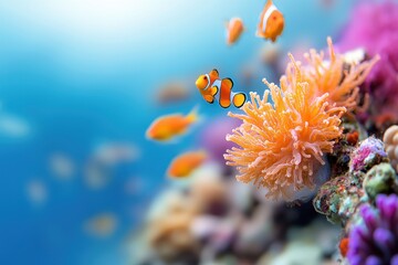 A vibrant underwater scene showcasing colorful clownfish swimming amidst bright coral formations.
