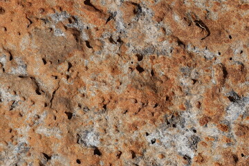 Macro View of Basalt Stone Surface Texture. Rough Surface of Natural Basalt Stone in Focus