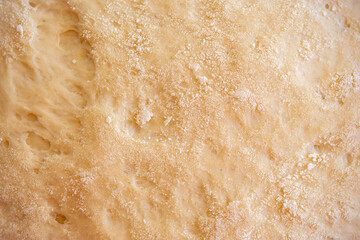 exture of rolled dough. Freshly kneaded dough in a basin, close-up freshly fermented doughs