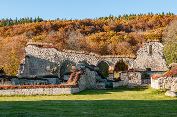 Ruins of Alvastra Abbey during autumn. This Cistercian monastery was founded in 1143 at Alvastra in county Östergötland, Sweden