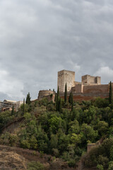 Panoramic view of the Alhambra in Granada, Spain