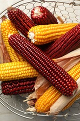 Red and yellow corn cobs in basket on light table, top view