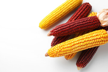 Red and yellow corn cobs on white background, flat lay. Space for text