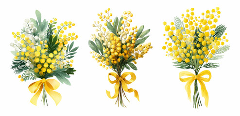Set of mimosa bouquets decorated with a bow. Watercolor yellow mimosa flowers with green leaves decorated with a jacquard ribbon with a bow. Spring bouquets of flowers. Vector illustration. © Narin
