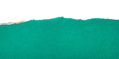 Green torn cardboard isolated on a transparent background