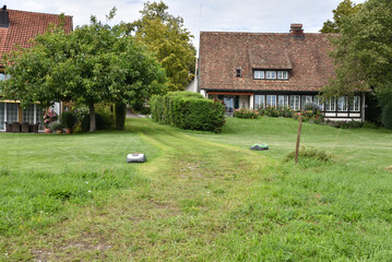 Traditional Homes with Gardens and Robotic Lawn Mowers in the Countryside near Zurich, Switzerland