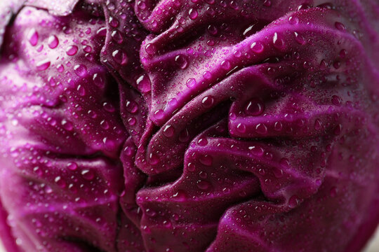 Fresh red cabbage with water drops as background, closeup