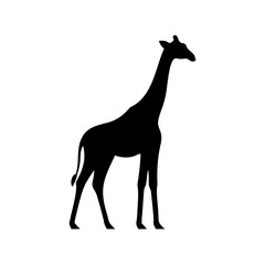 Elegant giraffe silhouette standing tall against a stark white backdrop design