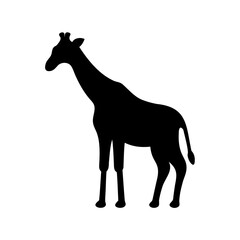 Black Silhouette of a Giraffe Standing Tall Against a White Background