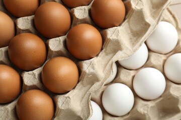 Different raw chicken eggs in egg cartons on table, above view