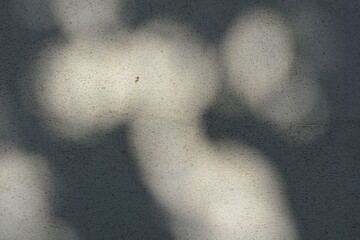 Construction and renovation work, plastering load-bearing street walls in sunlight. The white walls are coated with rough street primer with long micro-cracks throughout the surface and background.