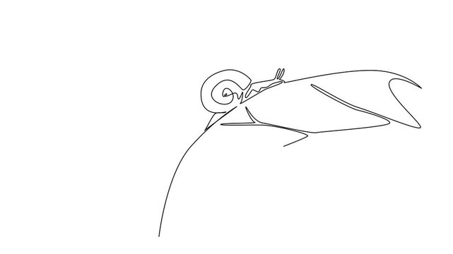 Animation of continuous one line drawing snail walking beside leaf. Perch on the leaves at once to crush them completely. Trying to adapt. Habitat. National Snail Day. Full length motion