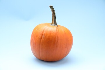 Whole ripe pumpkin on light blue background