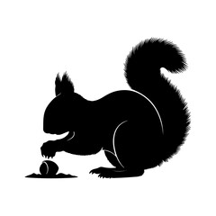 Squirrel foraging for nut with transparent background