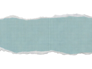 Horizontal strip of light blue grid paper with rough, uneven edges creating a border, isolated on transparent background