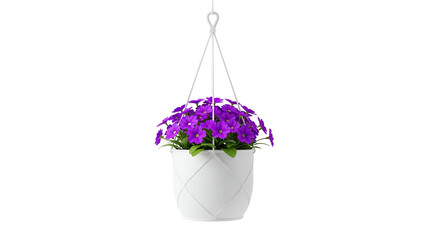 Purple Flowering Plant in White Hanging Pot Suspended with Rope on Transparent Background
