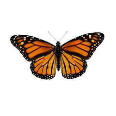 Vibrant monarch butterfly with open wings, a symbol of transformation and delicate beauty for nature projects or educational materials, ready for use