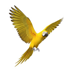 Vibrant yellow macaw in flight with wings spread wide, captivating tropical bird art for exotic wildlife projects and nature illustrations with freedom