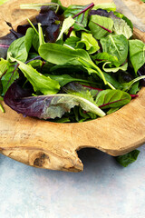 Fresh vegan salad with mixed greens.