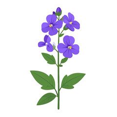 Isolated Purple Flower Stem with Green Leaves on White Background Botanical Illustration