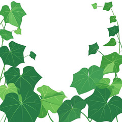 Fototapeta premium Detailed Illustration of Green Vine with Leaves on White Background for Decoration and Design Projects