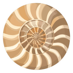 Detailed Top View of Circular Shell with Swirl Pattern in Gradient Brown and White Tones