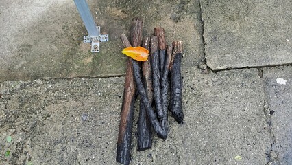 Obraz premium pile of partially burned wood sticks with a bright autumn leaf on concrete ground