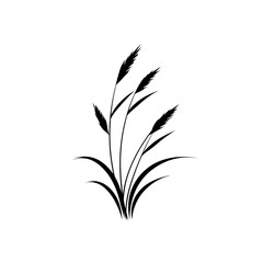 Obraz premium A delicate black silhouette of a wheat stalk with feathery seed heads against white
