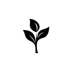 Obraz premium A black silhouette of a young plant with three leaves on a white background