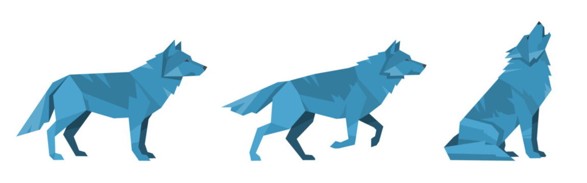 geometric origami blue wolf  set - vector illustrations