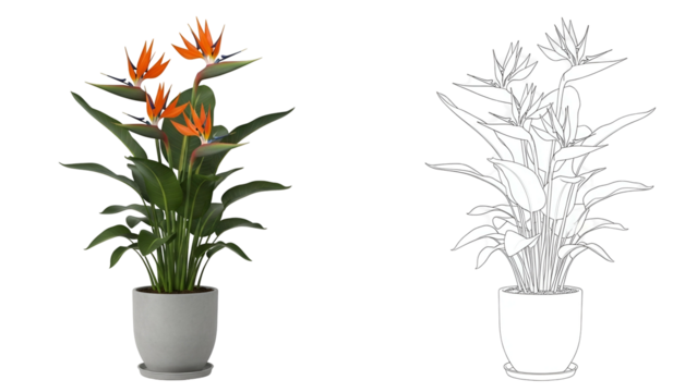 Colorful Bird of Paradise Plant in Gray Pot on Transparent Background - Powered by Adobe