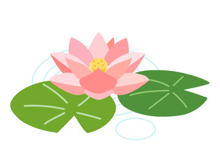 ピンクの睡蓮をイメージしたイラスト