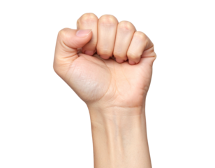 Female hand clenched into a fist isolated on transparent or white backgrounds