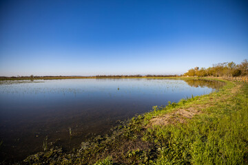 Reflections on the shimmering wetlands create a serene landscape, perfect for environmental conservation projects or peaceful nature retreats
