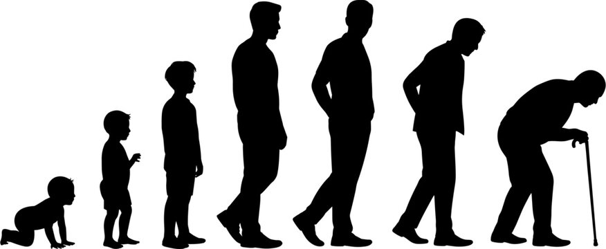 Human Evolution from Child to Grandfather Silhouette Vector Illustration