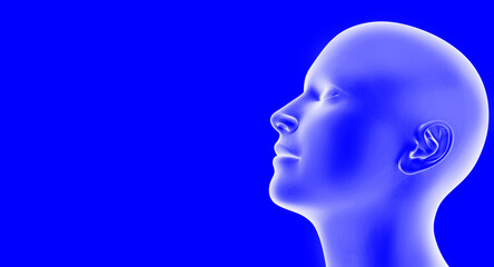 Realistic Human Anatomy Illustration Highlighting Nasal Breathing