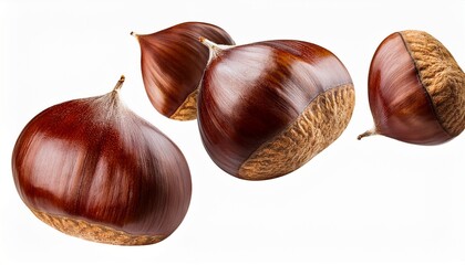 Raw Fresh Chestnut Falling In The Air Solated On White Background