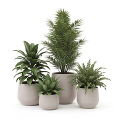Fototapeta premium Assorted Green Plants in Gray Pots on White Background