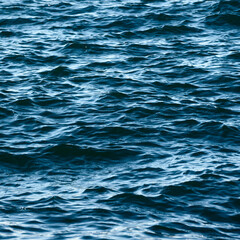 Calm blue sea surface with gentle ripples.