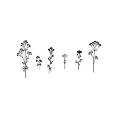 Obraz premium Illustration of minimalist botanical line art illustration of various wildflowers
