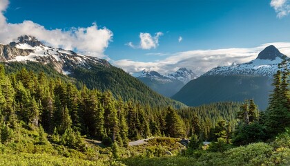 Fototapeta premium Majestic Mountain Landscape With Lush Forest In Whistler Bc Canada