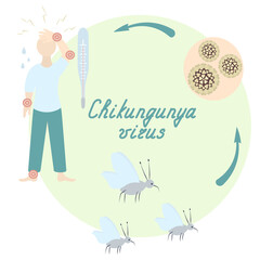 Round diagram of chikungunya virus infection. Handwritten text. Mosquitoes carriers - virus inside biological cell - sick person in full growth. Color vector illustration. Isolated green background. 