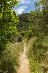 Fototapeta premium ニュージーランド ウェリントンのスカイライン・ウォークウェイからの風景