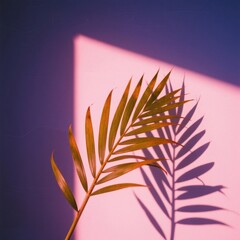Palm leaf casting shadow on colored wall