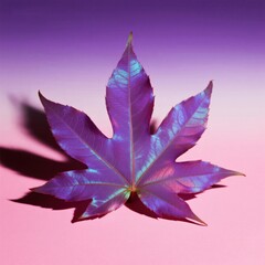 Purple maple leaf with gradient background
