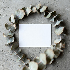 Eucalyptus leaves framing blank card on concrete