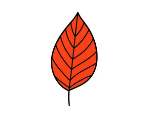 A simple, stylized illustration of a single, vibrant orange leaf with black outlining and veins, presented against a pristine white backdrop